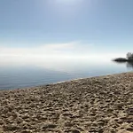La De Carol Au Coeur Du Bassin D'arcachon *
