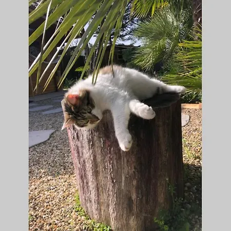 La De Carol Au Coeur Du Bassin D'arcachon *