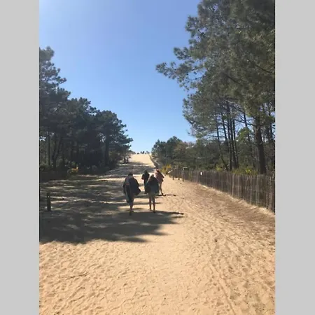דירה La De Carol Au Coeur Du Bassin D'arcachon