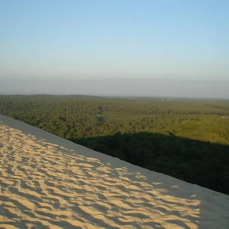 La De Carol Au Coeur Du Bassin D'arcachon *