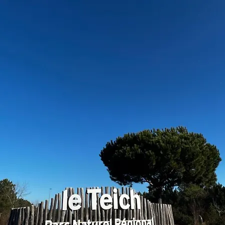 Apartmán La De Carol Au Coeur Du Bassin D'arcachon *