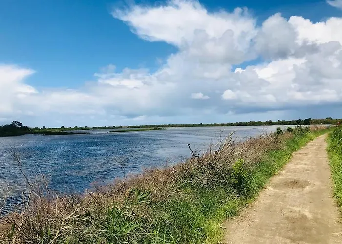 La De Carol Au Coeur Du Bassin D'arcachon Le Teich